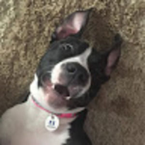 Meet your Posher, Kelly